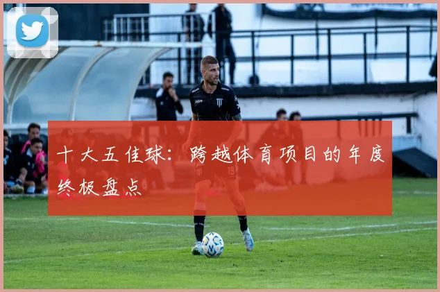 十大五佳球：跨越体育项目的年度终极盘点