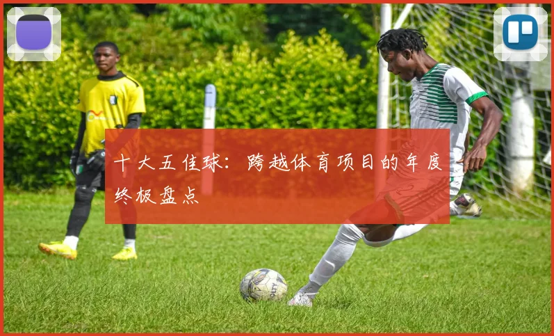十大五佳球：跨越体育项目的年度终极盘点
